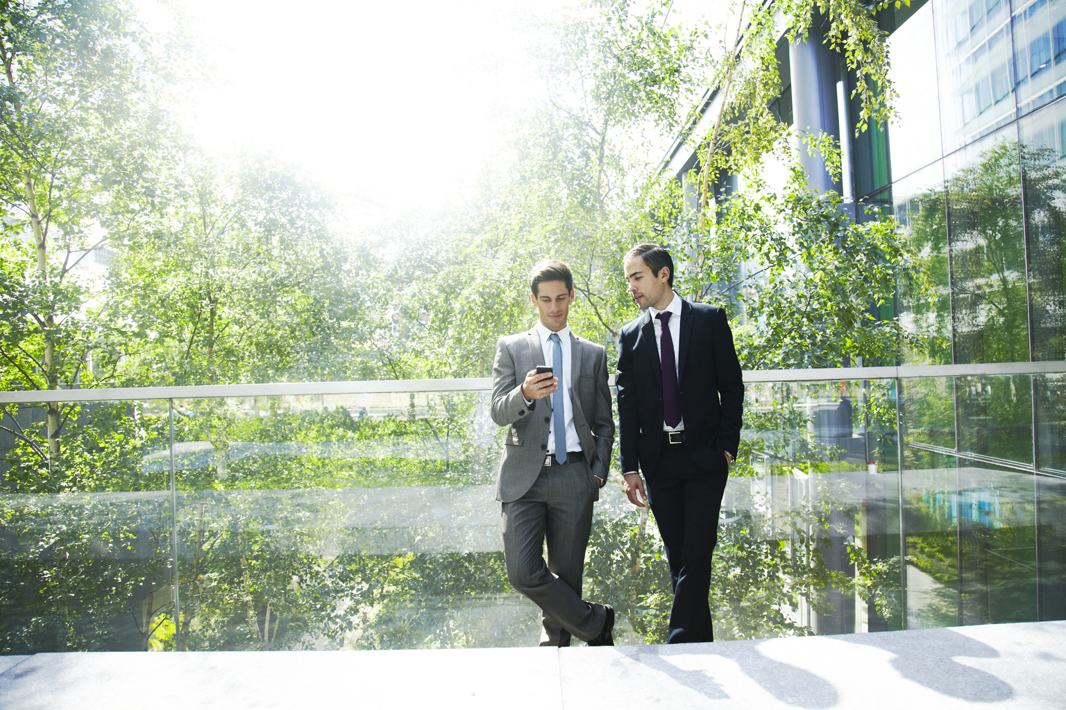 Two businessmen chatting surrounded by trees.